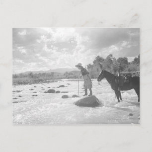 Cartão Postal Pesca com mosca de Frances Phelps Belden no rio