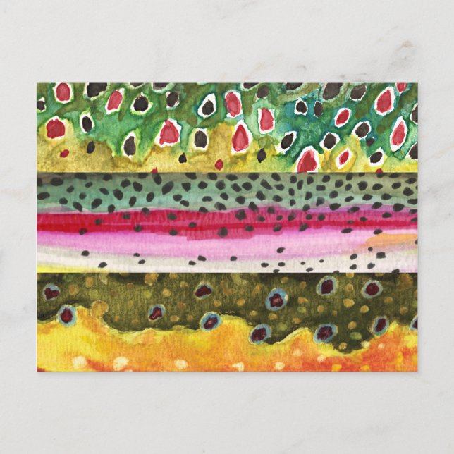 Cartão Postal Pesca de castanho, arco-íris e truta-marrom (Frente)