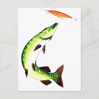 Cartão Postal Pesca de lúcio e pesca com mosca