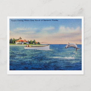Cartão Postal Pesca de Tarpon na Flórida