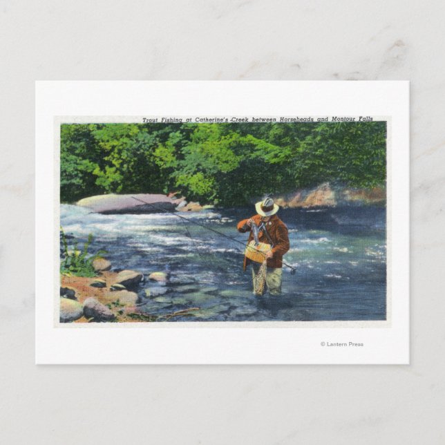 Cartão Postal Pesca de Truta no Catherine's Creek (Frente)