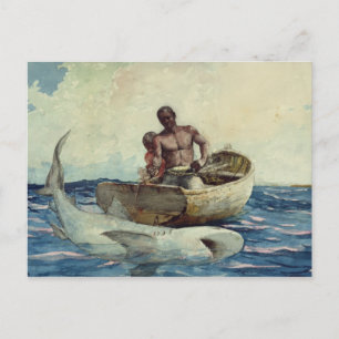 Cartão Postal Pesca do tubarão, 1885