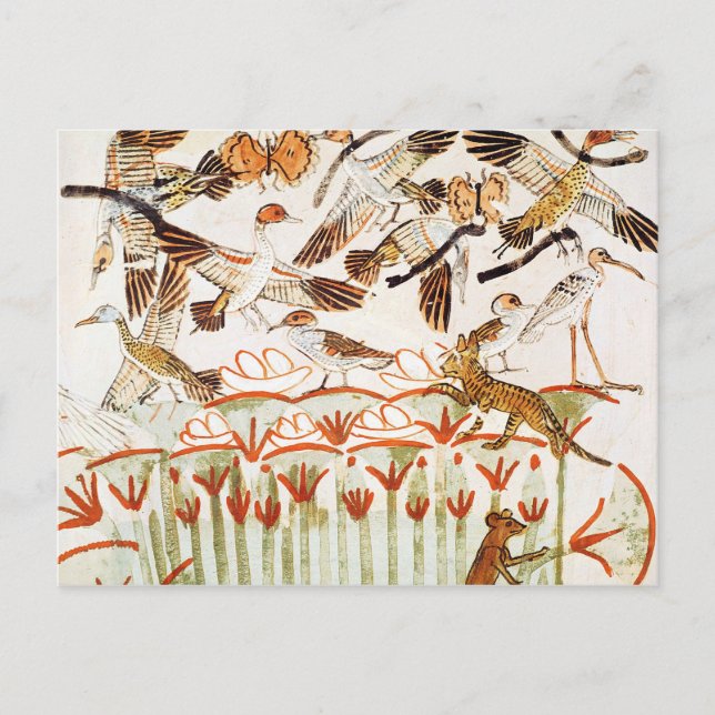 Cartão Postal Pesca e espadilha nos pântanos (Frente)