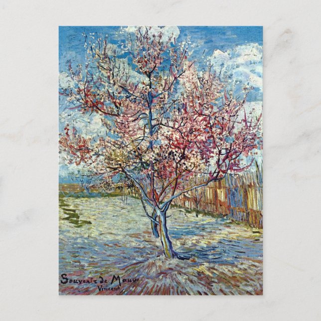 Cartão Postal Pêssego Rosa Árvore Van Gogh Belas Artes (Frente)