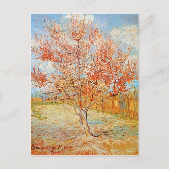 Cartão Postal Pêssego Van Gogh Pink Tree in Blossom Postcard (Frente)