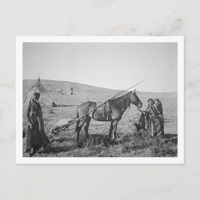 Cartão Postal Pessoas nativas americanas de árvores ocidentais d (Frente)