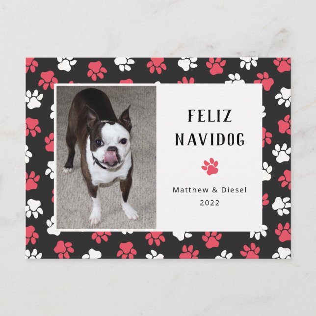 Cartão Postal Pet Christmas Card Photo Engraçado (Frente)