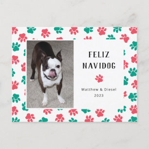 Cartão Postal Pet Christmas Card Photo Funny Red Green