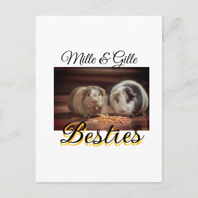 Cartão Postal Pet Frities adiciona nome e foto animal amor (Frente)