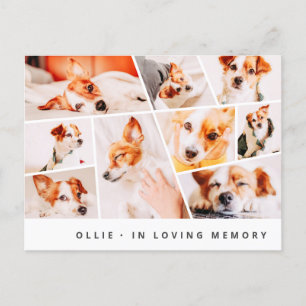 Cartão Postal Pet Memorial Modern Simple Chic 9 Collage