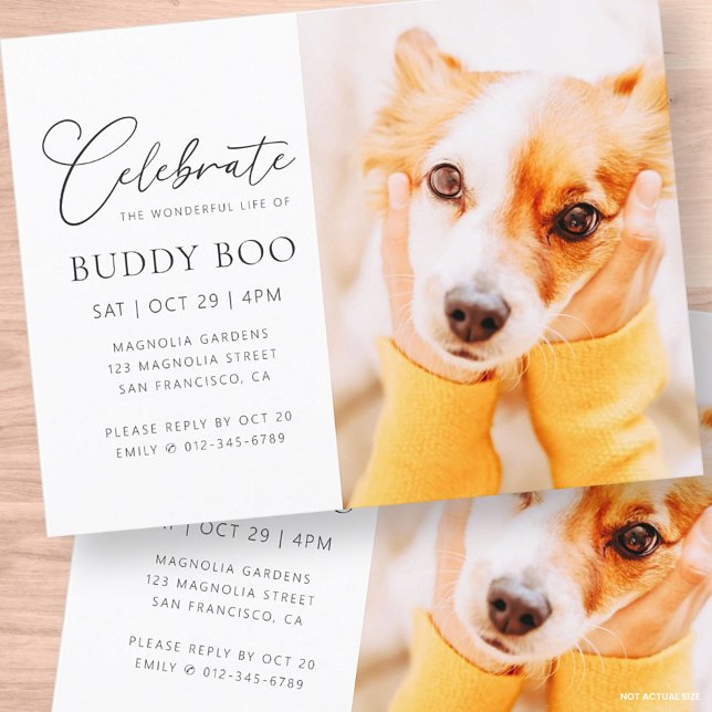 Cartão Postal Pet Memorial Modern Simple Minimalist Foto Chic (Criador carregado)