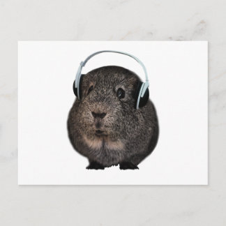 Cartão Postal Pet Musical
