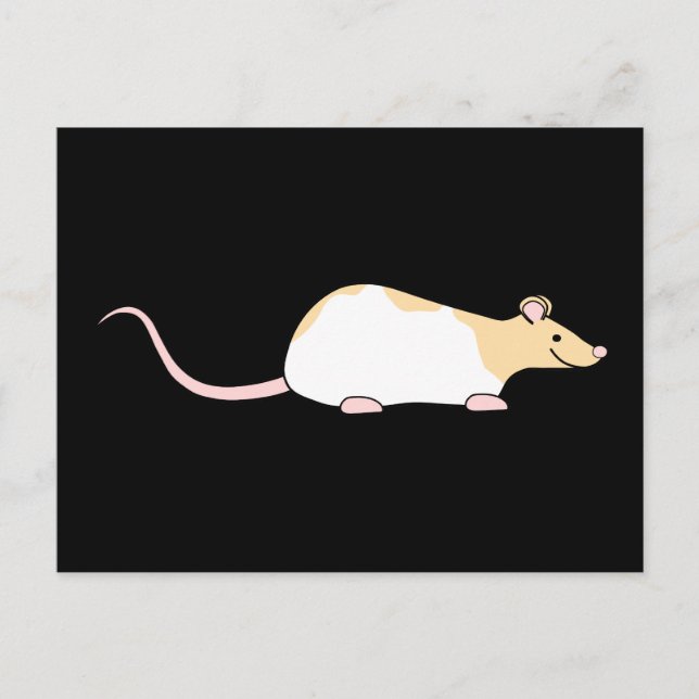 Cartão Postal Pet Rat. Variegada de Cabeça Branca e Vestida. (Frente)