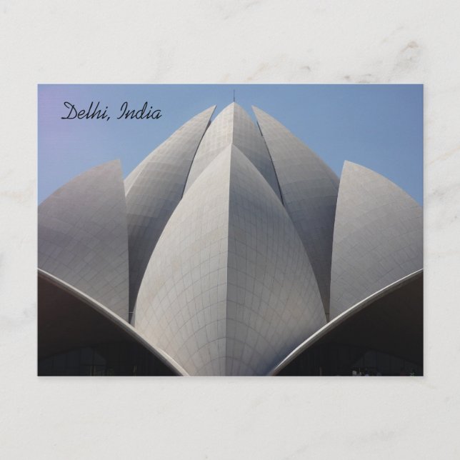 Cartão Postal pétalas de lótus (Frente)