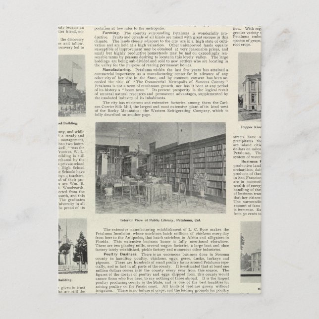 Cartão Postal Petaluma, Califórnia (Frente)