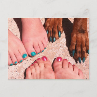 Cartão Postal Peticure - Pedicure Spa Day