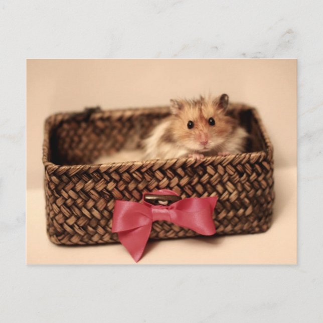 Cartão postal PetL0ve bonito (Frente)