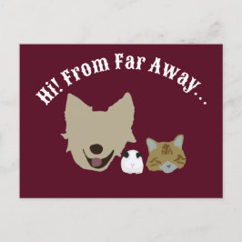 Cartão Postal Pets A Entrar Em Ti