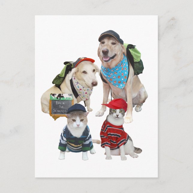 Cartão Postal Pets de Cute Personalizáveis (Frente)