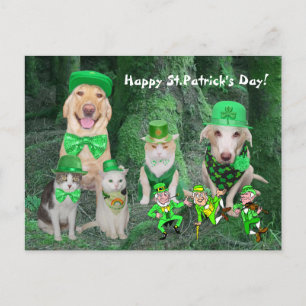 Cartão Postal Pets e Leprechauns Engraçados