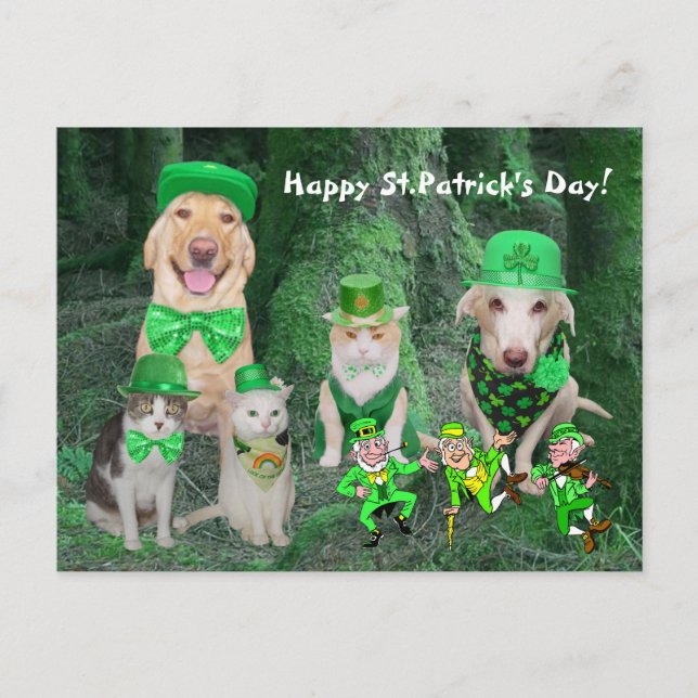 Cartão Postal Pets e Leprechauns Engraçados (Frente)