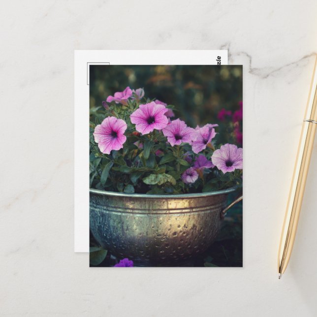 Cartão Postal Petunias roxas (Frente/Verso In Situ)