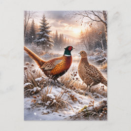 Cartão Postal Pheasant
