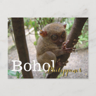 Cartão Postal Philippine Tarsier de Bohol