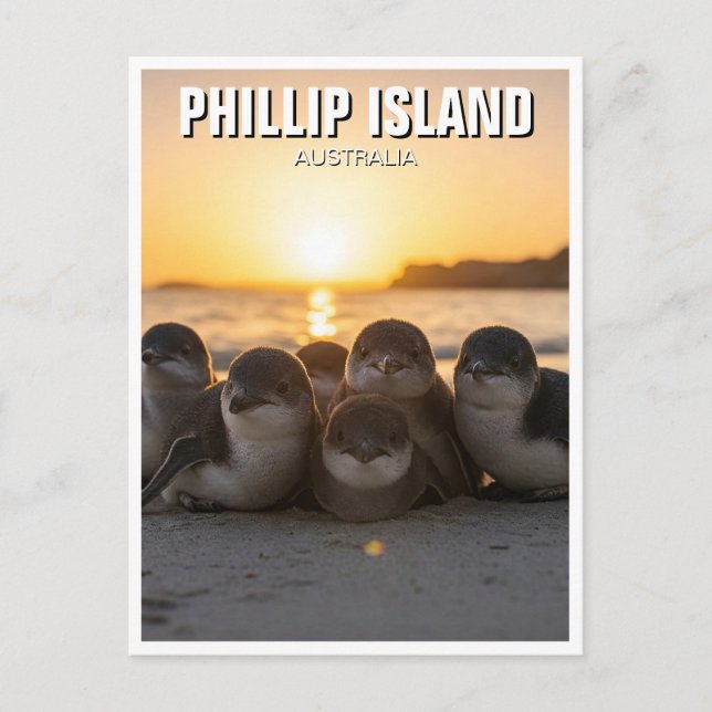 Cartão Postal Phillip Island Austrália (Frente)