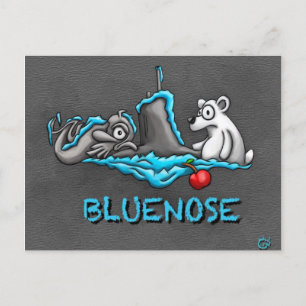 Cartão postal Phins Bluenose