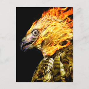 Cartão Postal Phoenix