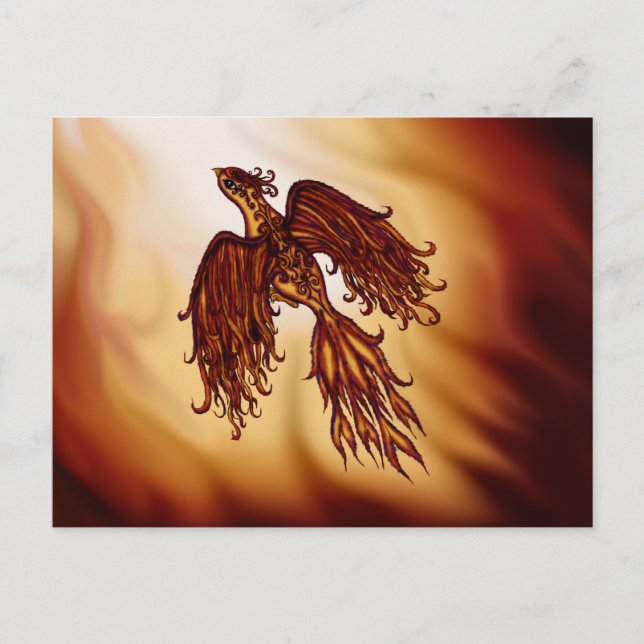 Cartão Postal Phoenix Fly (Frente)