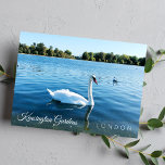 Cartão Postal Photo Kensignton Gardens The royal Park LONDON UK<br><div class="desc">Linda natação branca na lagoa redonda no Kensington Gardens Royal Park London UK - cartão-postal - setembro de 2019 - foto de Anka</div>