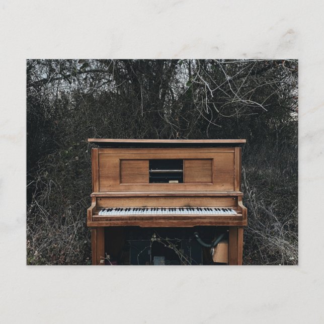 Cartão Postal Piano Fofo (Frente)