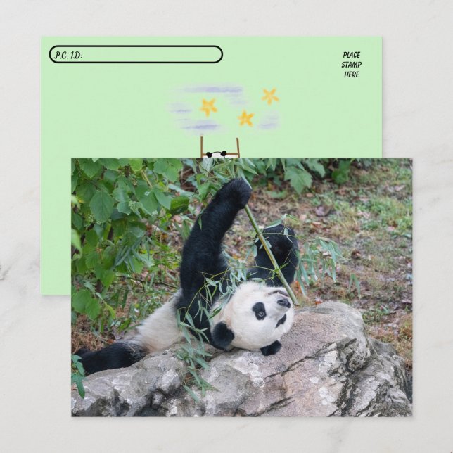 Cartão Postal Pic de um Panda Gigante (Frente/Verso)
