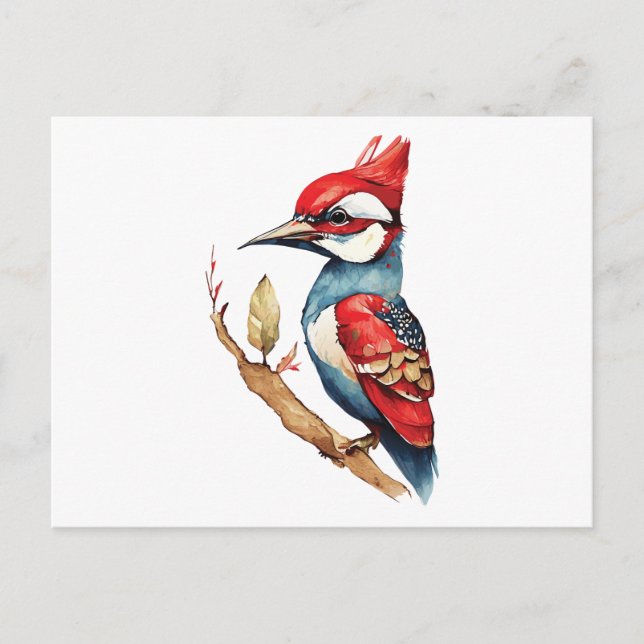 Cartão Postal Pica-pau vermelho e azul (Frente)