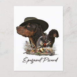 Cartão Postal Picardy Spaniel, Estação de Caça