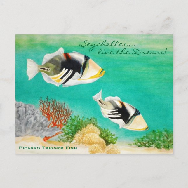 Cartão Postal Picasso Trigger Fish (Frente)