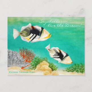 Cartão Postal Picasso Trigger Fish