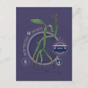 Cartão Postal PICKETT™ O Gráfico BOWTRUCKLE™