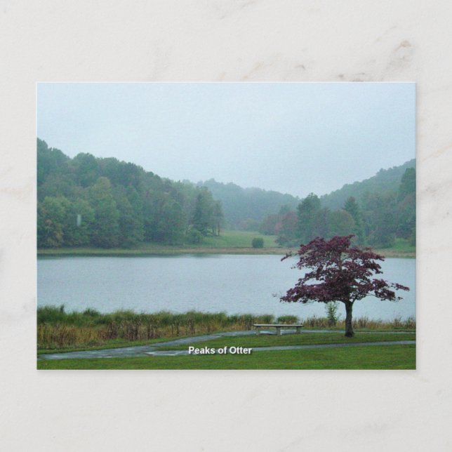 Cartão Postal Picos de lontra (Frente)