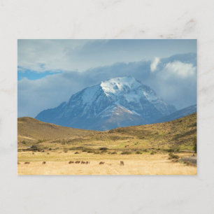 Cartão Postal Picos de montanhas em Torres del Plains