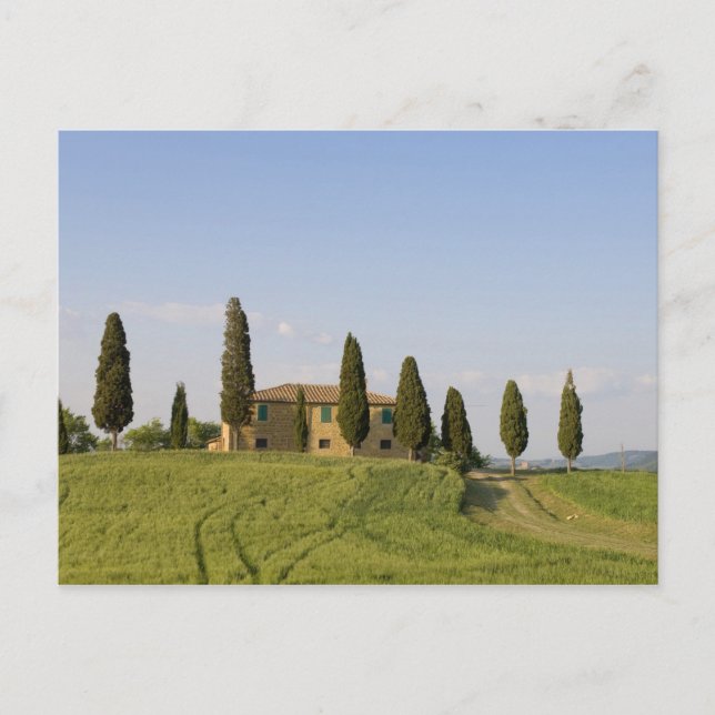 Cartão Postal Pienza, Val d'Orcia, província de Siena, Toscana, (Frente)