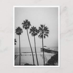 Cartão Postal Pier de Manhattan Beach e Palmeira Preto e Branco