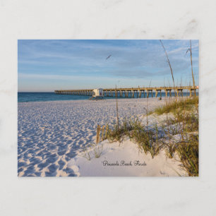 Cartão Postal Pier de Pensacola Sand Dunes Postal da Manhã