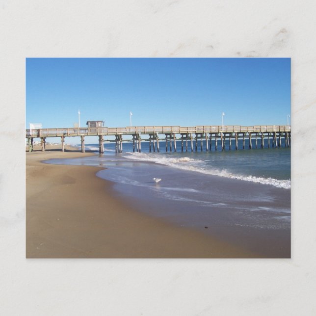 Cartão Postal Pier de pesca em Sandbridge, VA. (Frente)