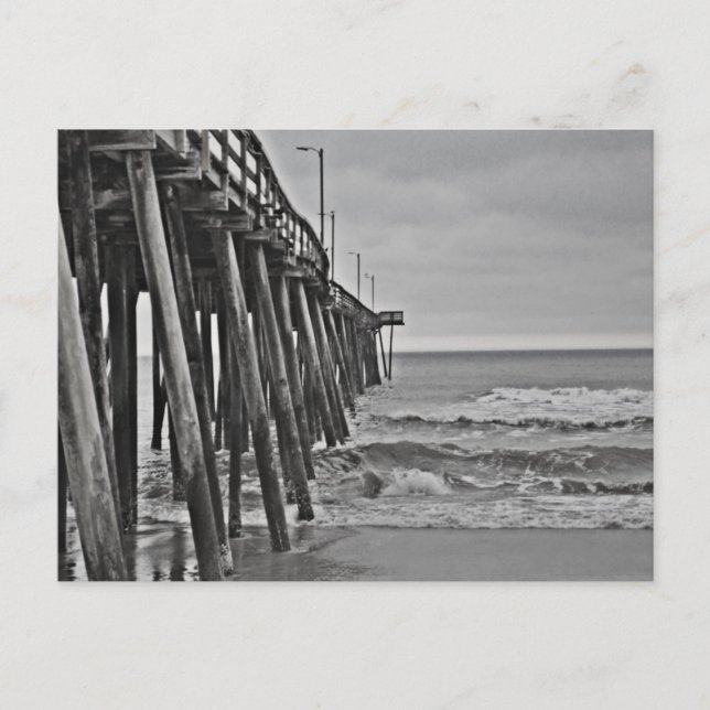Cartão Postal Pier por Shirley Taylor (Frente)