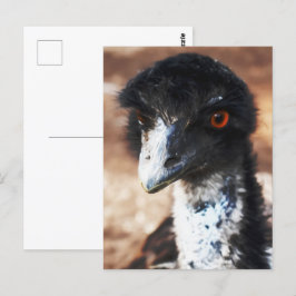 Cartão Postal Piercing Eyes of Outback