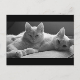 Cartão Postal Piff e Puff