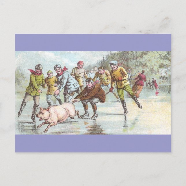 Cartão Postal Pig Pulls Ice Skater Através De Pond (Frente)